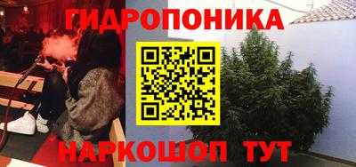 марихуана Кингисепп