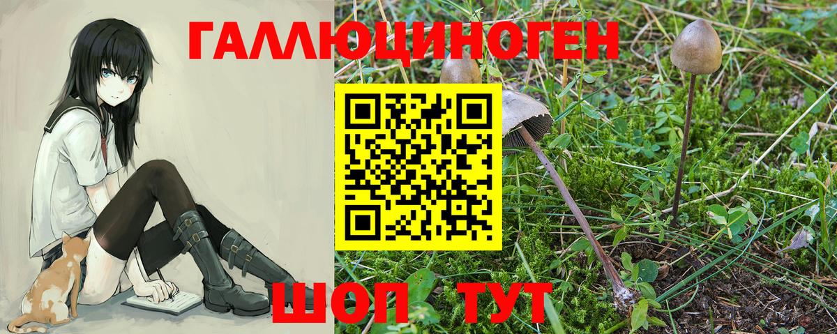 Псилоцибиновые грибы прущие грибы  Вход с VPN  Конаково 