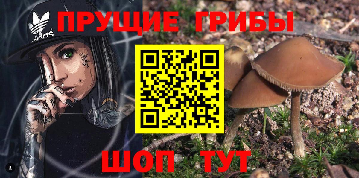 Галлюциногенные грибы ЛСД Конаково